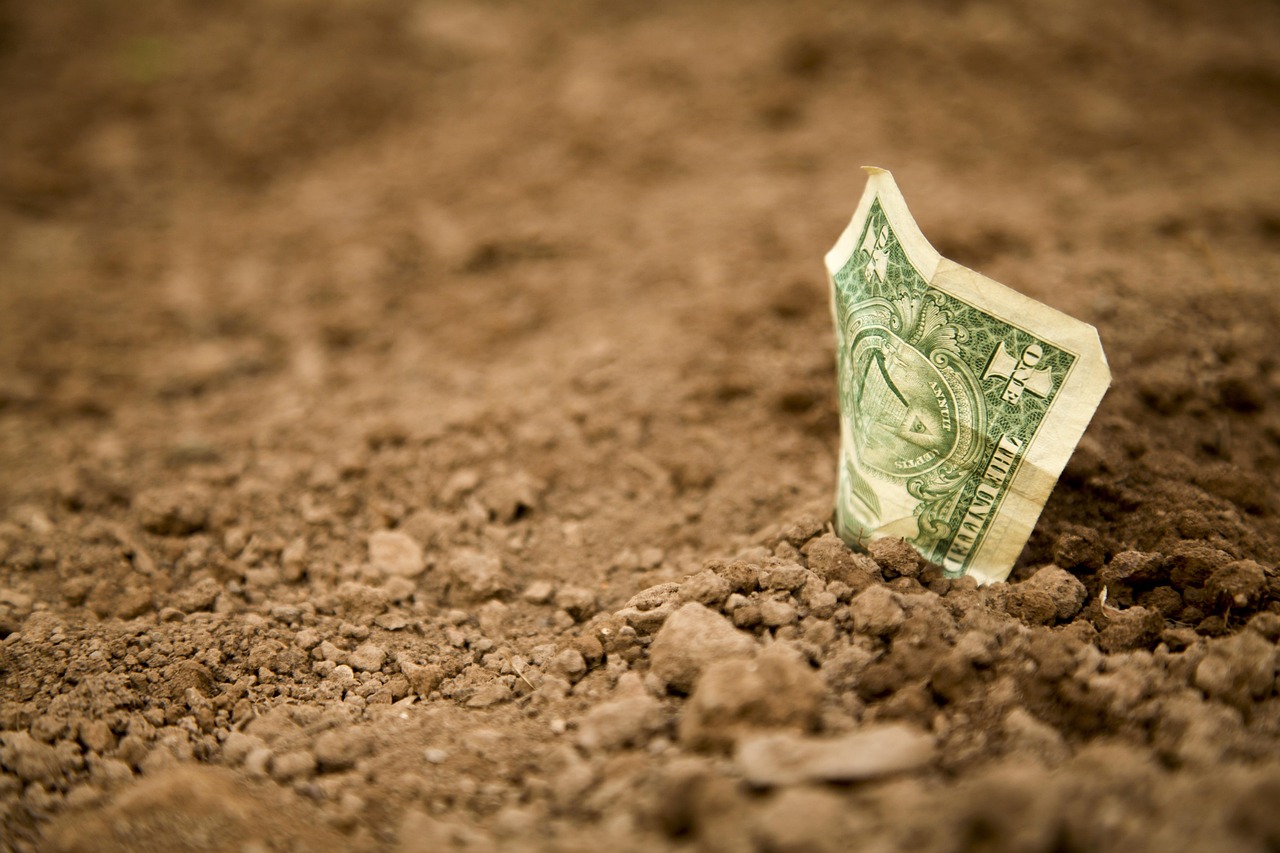 Building a Digital Empire